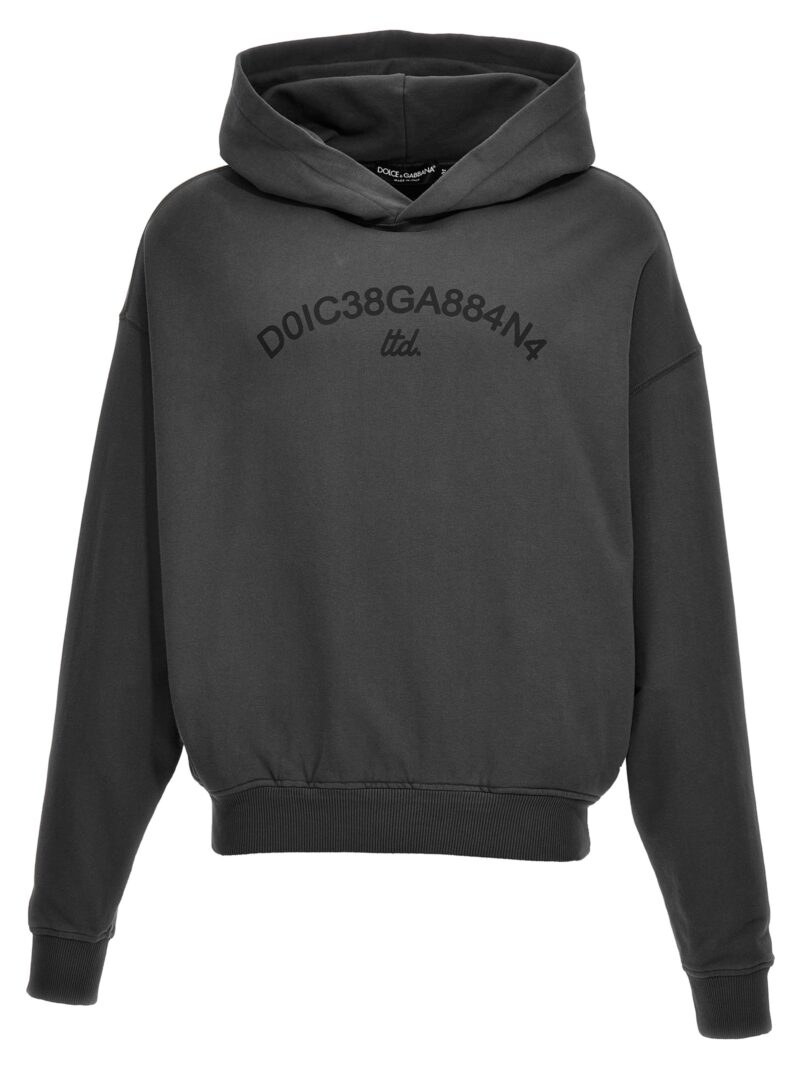 Logo print hoodie DOLCE & GABBANA Gray