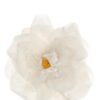 Flower brooch DOLCE & GABBANA White
